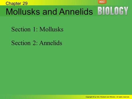 Mollusks and Annelids Section 1: Mollusks Section 2: Annelids