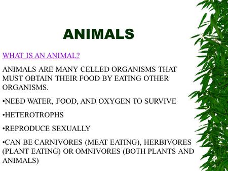 ANIMALS WHAT IS AN ANIMAL? ANIMALS ARE MANY CELLED ORGANISMS THAT MUST OBTAIN THEIR FOOD BY EATING OTHER ORGANISMS. NEED WATER, FOOD, AND OXYGEN TO SURVIVE.