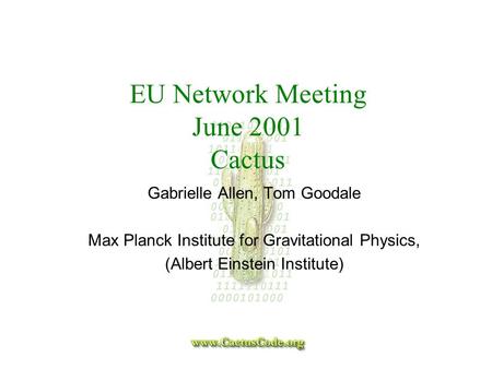 EU Network Meeting June 2001 Cactus Gabrielle Allen, Tom Goodale Max Planck Institute for Gravitational Physics, (Albert Einstein Institute)