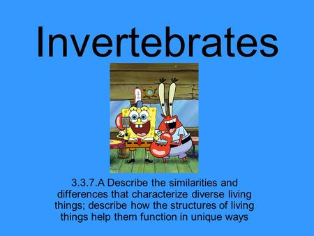 Invertebrates 3.3.7.A Describe the similarities and differences that characterize diverse living things; describe how the structures of living things help.