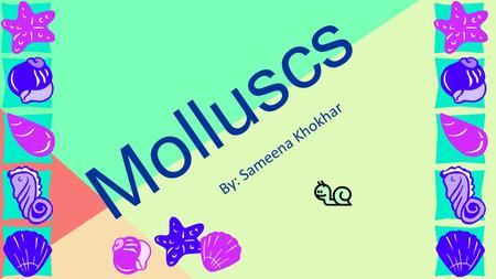 Molluscs By: Sameena Khokhar.