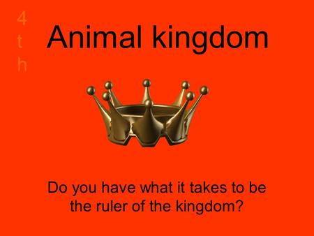 Animal kingdom Do you have what it takes to be the ruler of the kingdom? 4th4th.