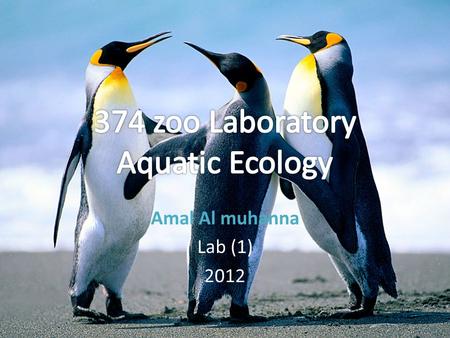 Amal Al muhanna Lab (1) 2012. Study of the following: Topics to be covered: Study of the following: a-Phytoplankton b-Zooplaknton c-Benthos d-Macrophytes.