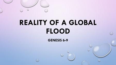 Reality of a global flood