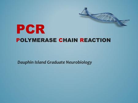 PCR POLYMERASE CHAIN REACTION Dauphin Island Graduate Neurobiology.
