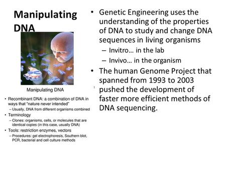 Manipulating DNA Genetic Engineering uses the understanding of the properties of DNA to study and change DNA sequences in living organisms – Invitro… in.