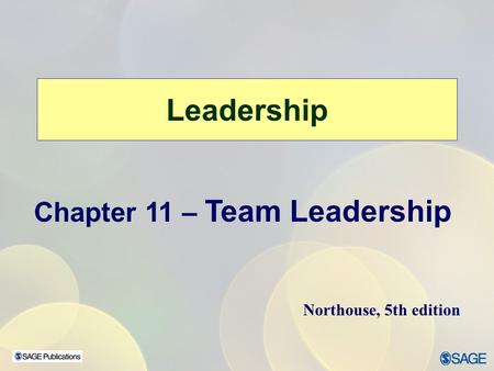 Chapter 11 – Team Leadership