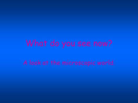 What do you see now? A look at the microscopic world.