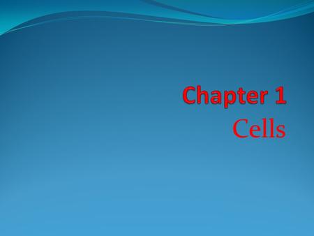 Chapter 1 Cells.