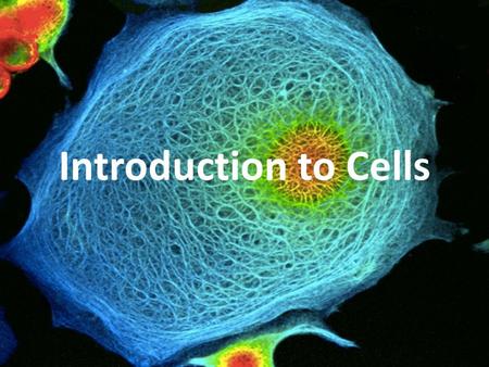 Introduction to Cells. Discovery Robert Hooke discovered the cell using a compound light microscope in 1653. What he saw looked like small boxes so he.
