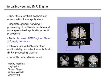 Interval browser and fMRIEngine Slicer tools for fMRI analysis and other multi-volume applications Separate general handling & processing of multi-volume.