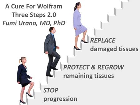 STOP progression PROTECT & REGROW remaining tissues REPLACE damaged tissues A Cure For Wolfram Three Steps 2.0 Fumi Urano, MD, PhD.