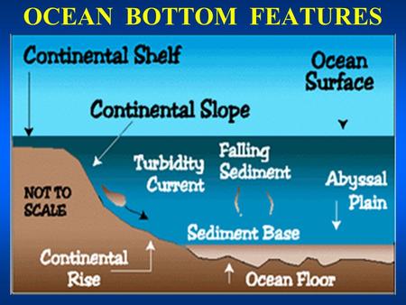 OCEAN BOTTOM FEATURES. TOPOGRAPHIC FEATURES u u Continental margins: * Shelf up to 300 km wide; 150-200 m deep * Slope 20 - 100 km wide; 200 to 2000.