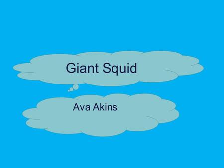 Giant Squid Ava Akins The Giant Squid are the Largest mollusks in the ocean. Giant Squid have been known to be about 60 feet in total length, but most.
