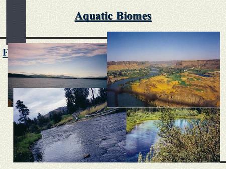 Aquatic Biomes Freshwater Biome: rivers, streams, and lakes. - No salt.