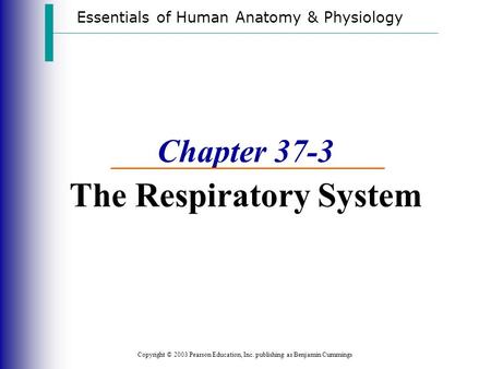 Essentials of Human Anatomy & Physiology Copyright © 2003 Pearson Education, Inc. publishing as Benjamin Cummings Chapter 37-3 The Respiratory System.