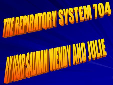 What are the major organs of the respiratory system and their jobs? Information – The major organs of the respiratory system is the nasal cavity and oral.