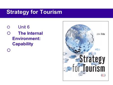  Unit 6  The Internal Environment: Capability  Strategy for Tourism.