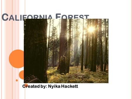 C ALIFORNIA F OREST Created by: Nyika Hackett. C ALIFORNIA F OREST E CONOMIST Q-1: What are the economic benefits of this type of ecosystem to a home.