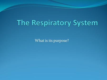 What is its purpose?. RESPIRATORY PRE-TEST 1. The main function of the respiratory system is_____ 2. Name the structures of the respiratory system. 3.