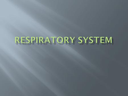  The function of the respiratory system is gas exchange. It makes sure the body has a steady supply of oxygen while it disposes of carbon dioxide.