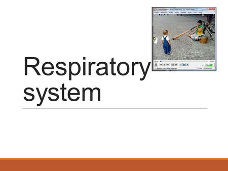 Respiratory system. Function of the respiratory system Primary function: obtaining O 2 and removing CO 2 Other functions: filter air, produce sound, sense.