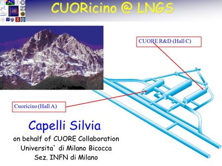 LNGS Capelli Silvia on behalf of CUORE Collaboration