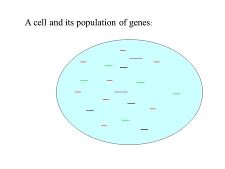 A cell and its population of genes :. DNA forms double strands by a process called hybridization: