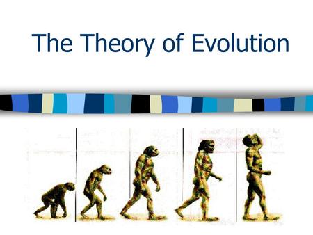 The Theory of Evolution Evolution: The most famous scientist that studied and discussed evolution is Charles Darwin. In 1831 Charles Darwin undertook.
