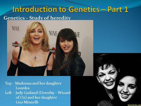 Genetics – Study of heredity Top – Madonna and her daughter Lourdes Left – Judy Garland (Dorothy – Wizard 0f Oz) and her daughter Liza Minnelli.