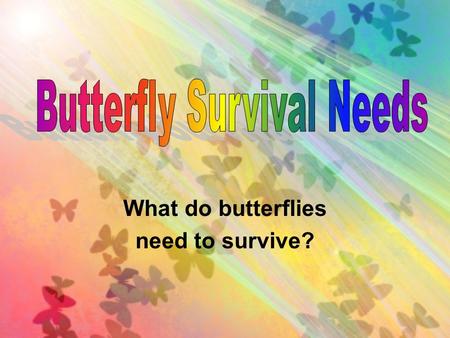 What do butterflies need to survive?