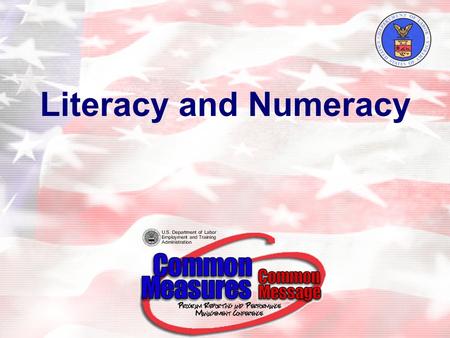 Literacy and Numeracy. 2 Agenda Background Key Variables for Calculating Literacy and Numeracy Rate –Definition of a Youth –Out-of-School –Basic Literacy.