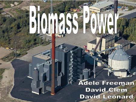 Biomass Power Adele Freeman David Clem David Leonard