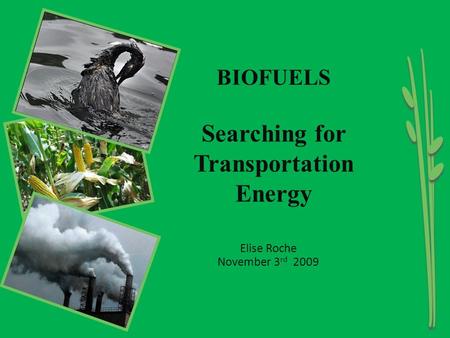 Elise Roche November 3 rd 2009 BIOFUELS Searching for Transportation Energy.
