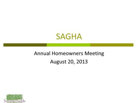 SAGHA Annual Homeowners Meeting August 20, 2013. 2 Agenda  Open Board Positions Resolution  Year in Review  Treasurer’s Report  Common Area Items.