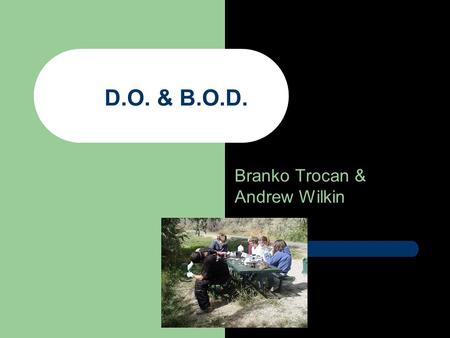 Branko Trocan & Andrew Wilkin D.O. & B.O.D.. Question- How does the D.O level in Rock Creek Compare to that of the lower Snake River?