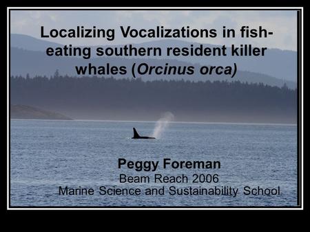 Localizing Vocalizations in fish- eating southern resident killer whales (Orcinus orca) Peggy Foreman Beam Reach 2006 Marine Science and Sustainability.