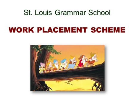 St. Louis Grammar School WORK PLACEMENT SCHEME What is Work Placement ? Two types : Work Experience : hands-on experience at the discretion of the employer.