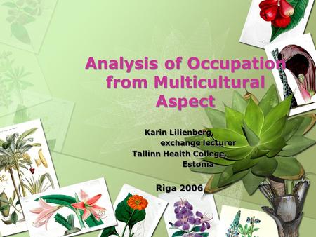 Analysis of Occupation from Multicultural Aspect