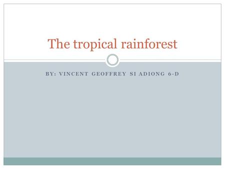 BY: VINCENT GEOFFREY SI ADIONG 6-D The tropical rainforest.