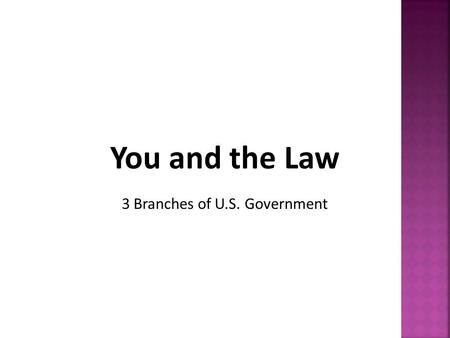 3 Branches of U.S. Government.  Article I – Legislative Branch  Believed the Legislative Branch would have the most important role  making laws.
