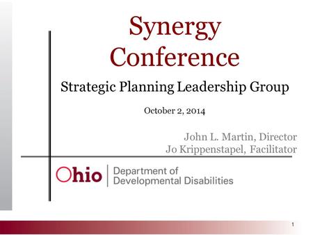 1 Synergy Conference Strategic Planning Leadership Group October 2, 2014 John L. Martin, Director Jo Krippenstapel, Facilitator.