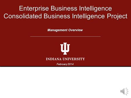Enterprise Business Intelligence Consolidated Business Intelligence Project February 2014 Management Overview.