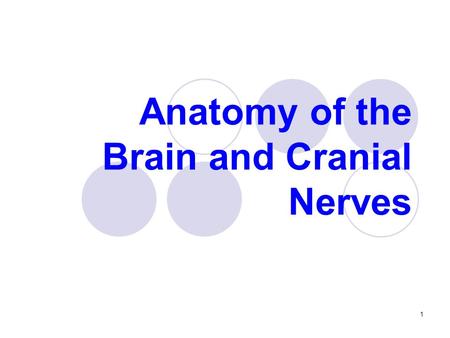 Anatomy of the Brain and Cranial Nerves 1. The Nervous System can be divided in: Central Nervous System (CNS)  Brain and Spinal Cord Peripheral Nervous.