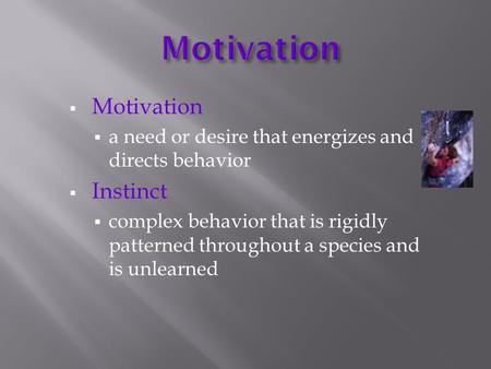 MMotivation aa need or desire that energizes and directs behavior IInstinct ccomplex behavior that is rigidly patterned throughout a species and.