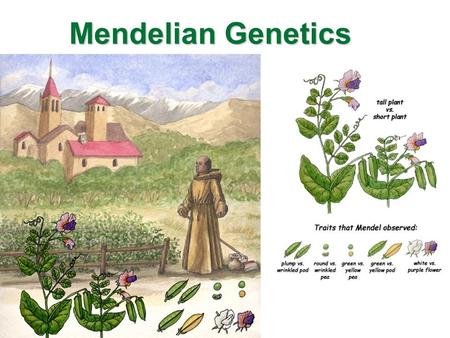 Gregor Mendel Mendelian Genetics. Beliefs about Heredity Fig. 1. De la propagation du genre humain, ou manuel indispensable pour ceux qui veulent avoir.