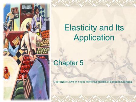 Elasticity and Its Application Chapter 5 Copyright © 2004 by South-Western,a division of Thomson Learning.