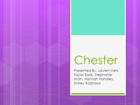 Chester Presented By: Lauren Meis, Taylor Eads, Stephanie Waln, Hannah Handley, Shirley Robinson.