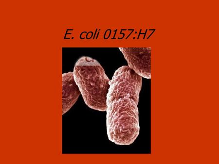 E. coli 0157:H7.
