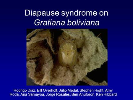 Diapause syndrome on Gratiana boliviana Rodrigo Diaz, Bill Overholt, Julio Medal, Stephen Hight, Amy Roda, Ana Samayoa, Jorge Rosales, Ben Anuforon, Ken.